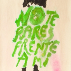 http://www.nunezdelar.co/files/gimgs/th-42_NO TE PARES FRENTE A MI low.jpg